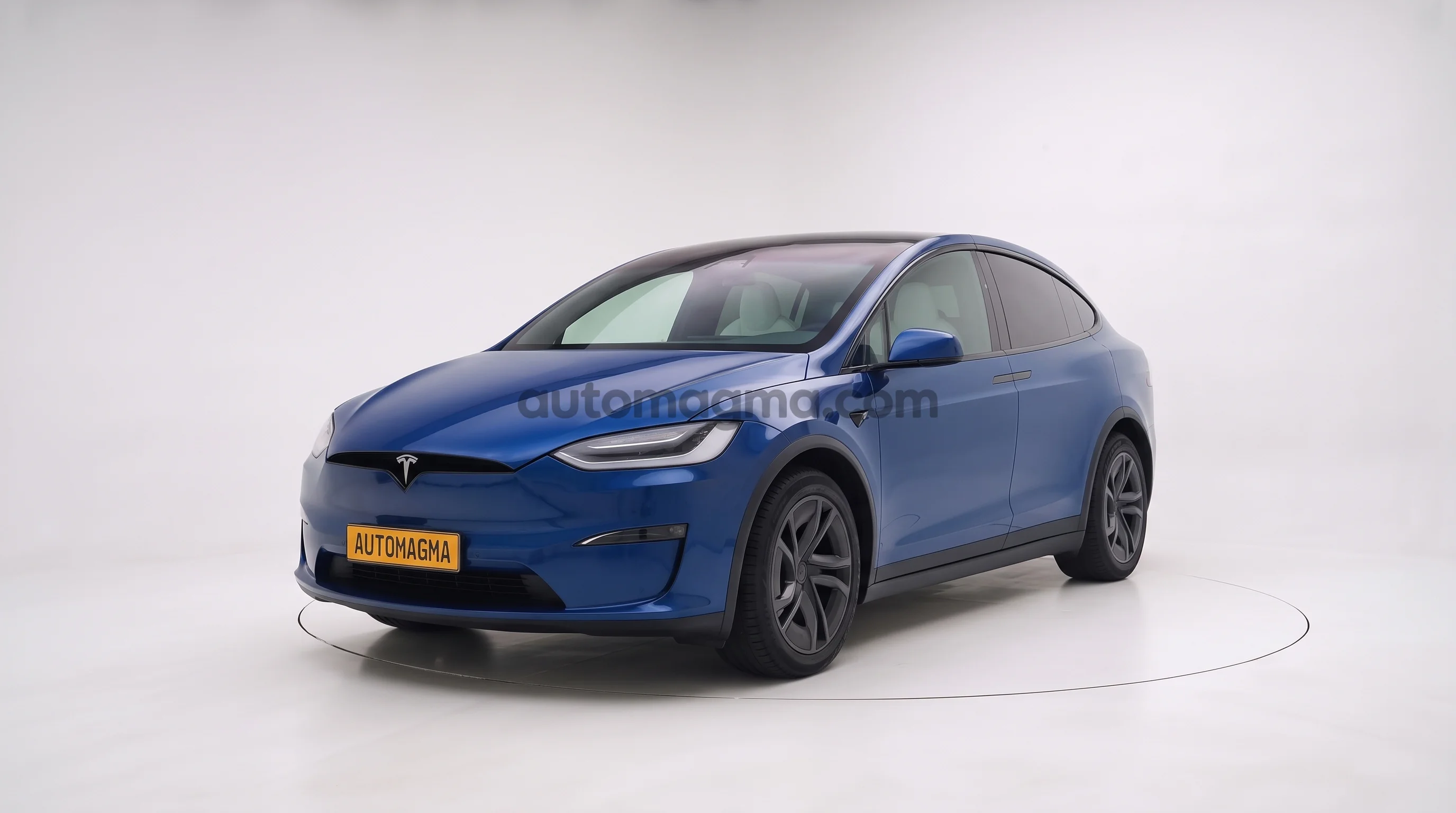 Model X