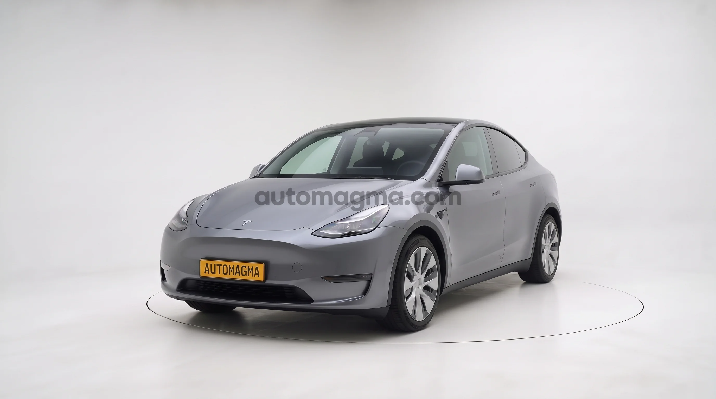 Model Y